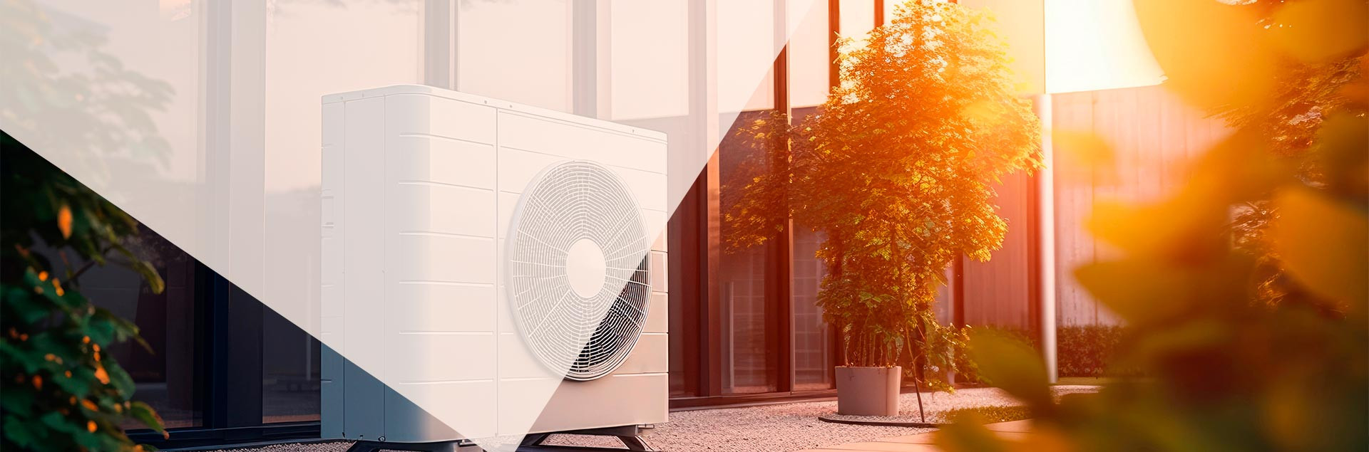 Professional service